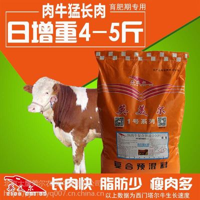 牛吃什么才能长肉 肉牛吃什么长的快