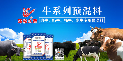 肉牛长的肥又壮的预混料
